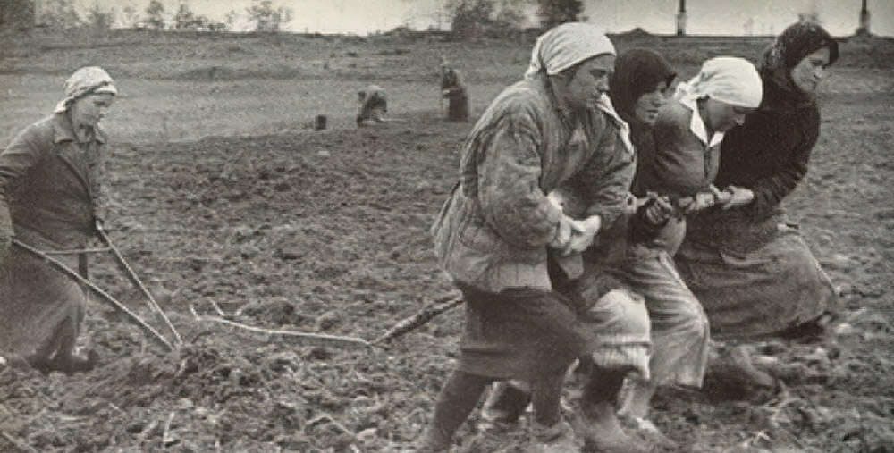Нізкі паклон вам, дарагія бабулі